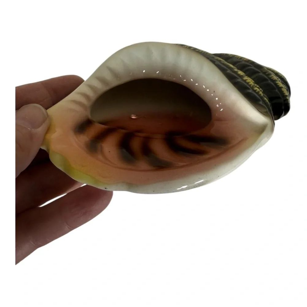Sea Shell Wall Pocket Vase‎